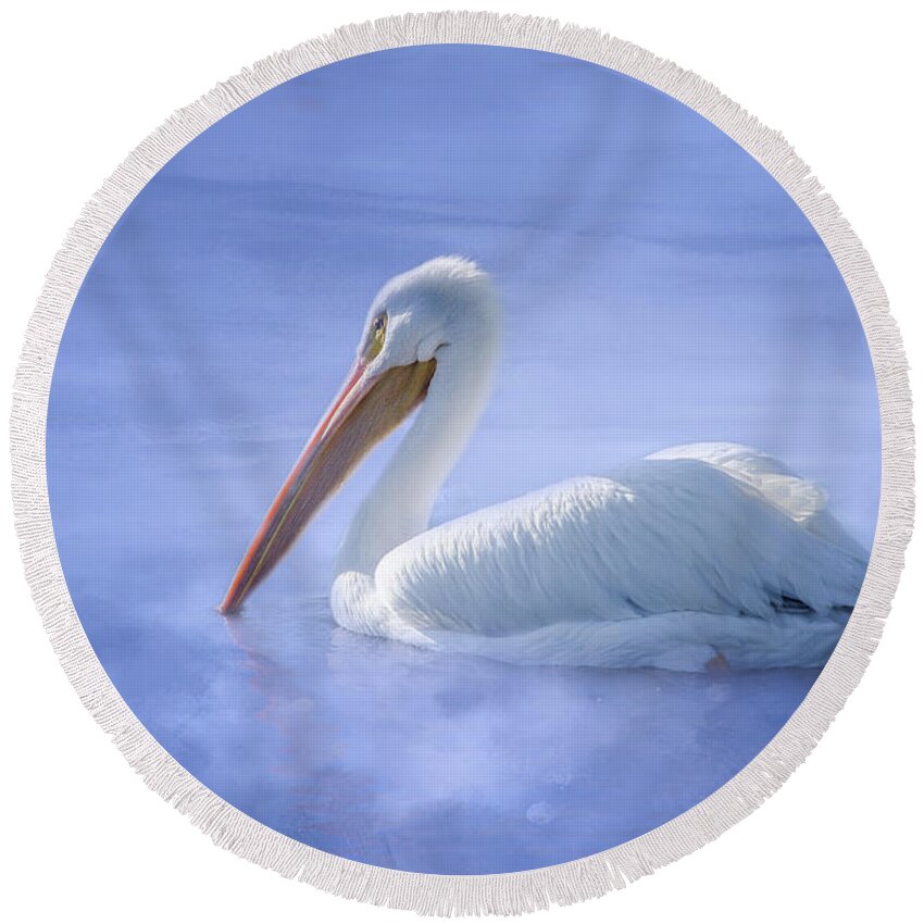 American White Pelican Round Beach Towel featuring the photograph American White Pelican Daydreaming by Debra Martz