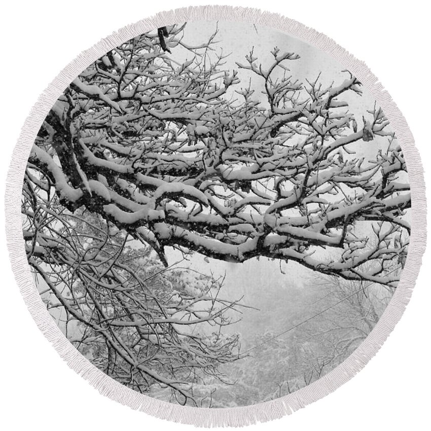 Snow-laden Limbs Round Beach Towel featuring the photograph Spring Snow On Branches by Rosanne Licciardi