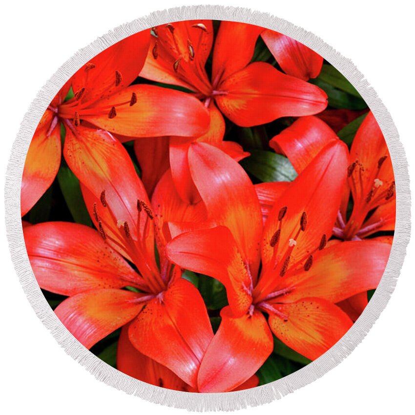 Tiger Lily Round Beach Towel featuring the photograph Andrea's Lily by Susie Loechler