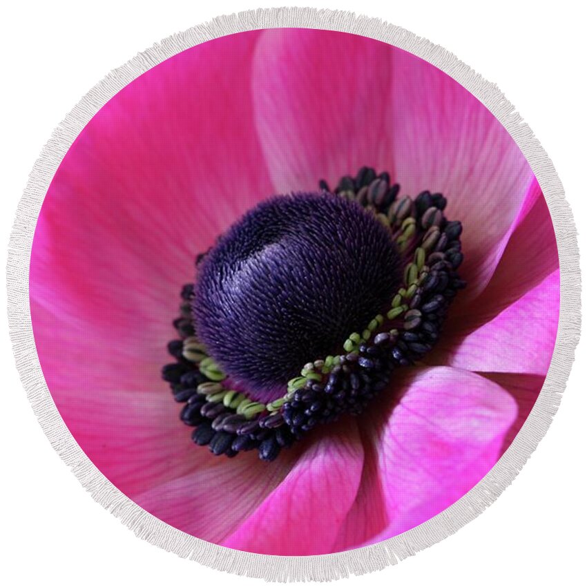 Macro Round Beach Towel featuring the photograph Anemone Pink by Julie Powell