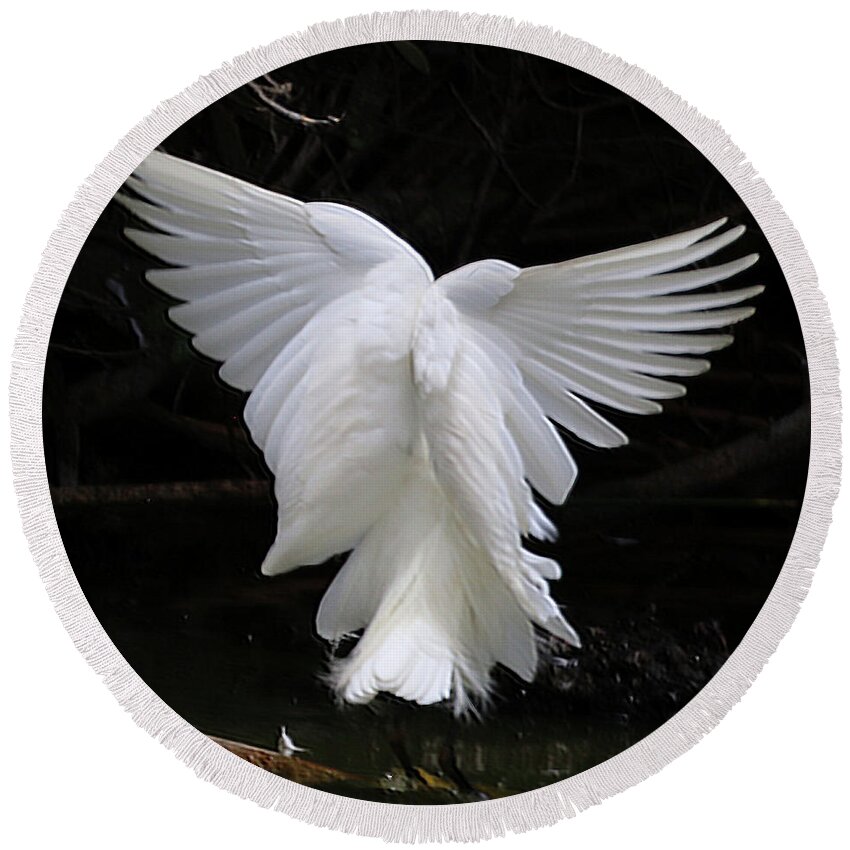 Egret Round Beach Towel featuring the photograph Angel Wings Egret by Perry Hoffman