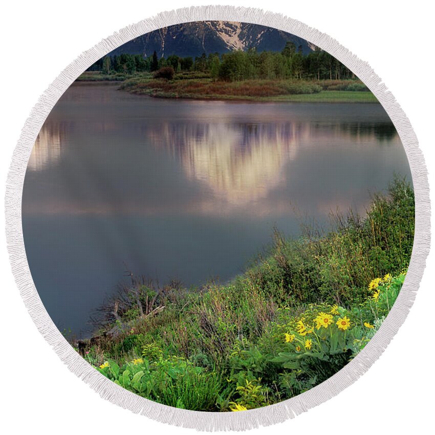 Dave Welling Round Beach Towel featuring the photograph Arrowleaf Balsamrood Mount Moran Grand Tetons Np by Dave Welling