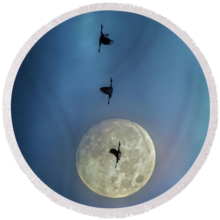 Sky Round Beach Towel featuring the photograph Sandhill Cranes with Full Moon by Patti Deters