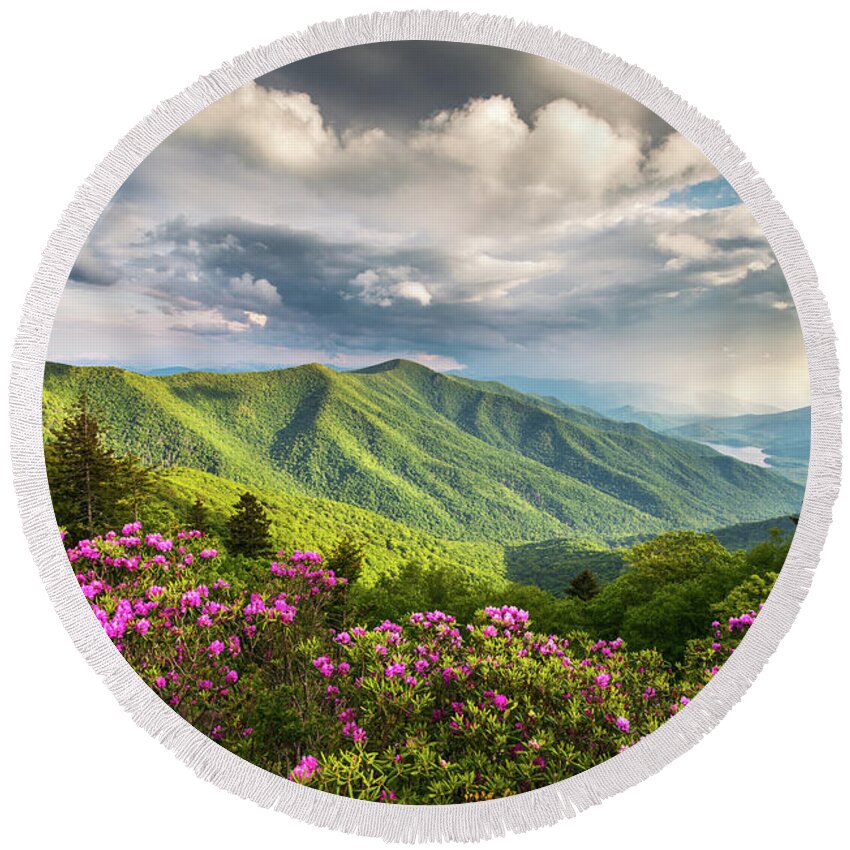 North Carolina Round Beach Towel featuring the photograph Asheville NC Blue Ridge Parkway Spring Flowers by Dave Allen
