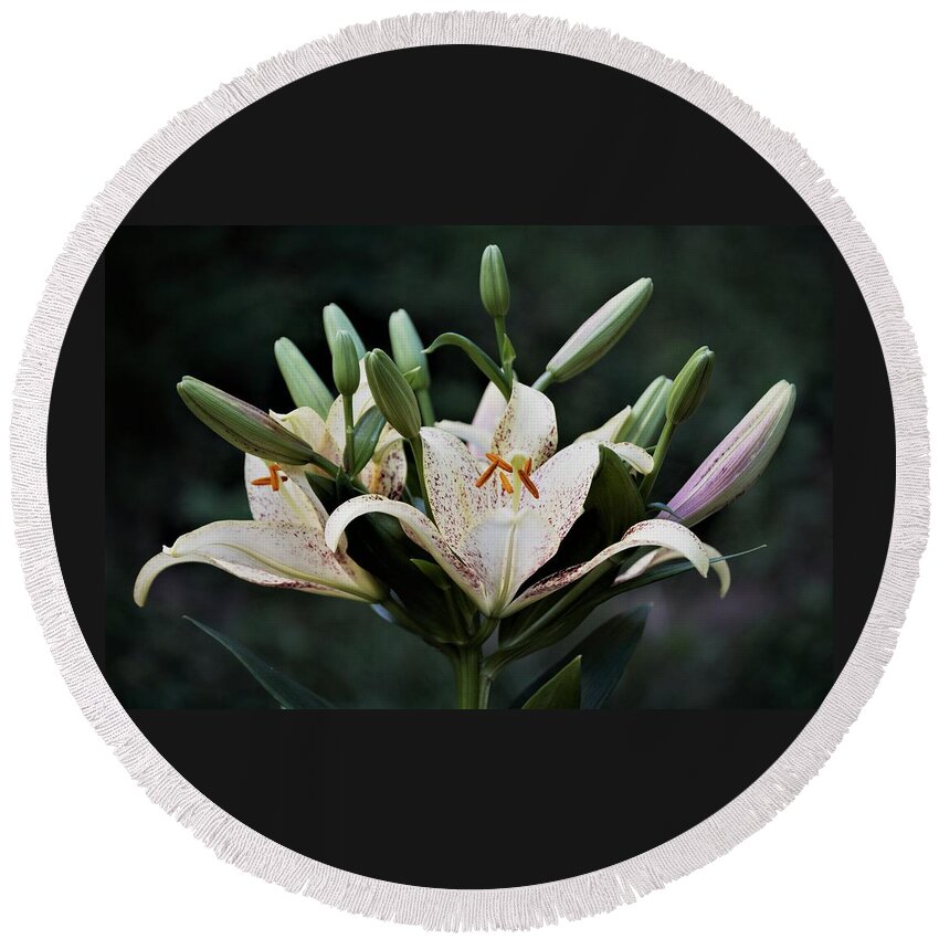 Lilies Round Beach Towel featuring the photograph Asiatic Lily Blossoms and Buds by Nancy Ayanna Wyatt