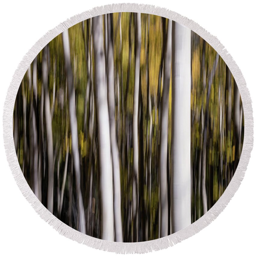 Aspen Round Beach Towel featuring the photograph Aspen Abstract No.1 by Margaret Pitcher