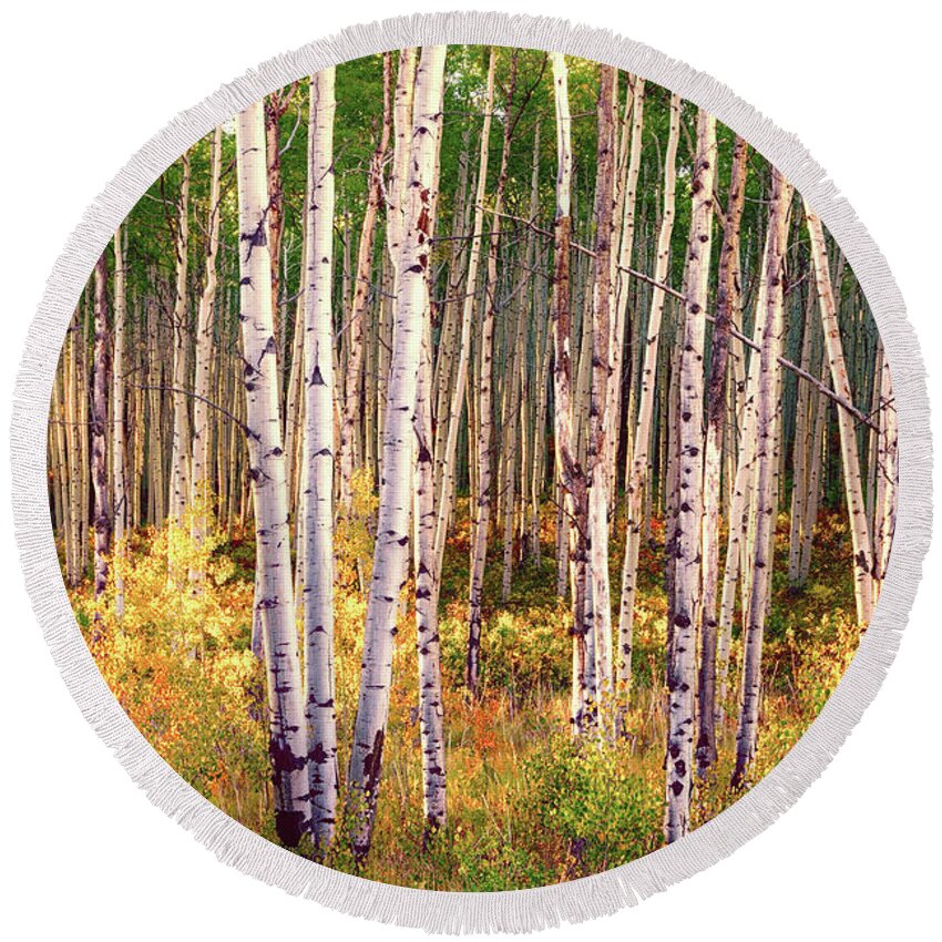 Beautiful Autumn Scenery In The Leaf-changing Aspen Grove aspen Round Beach Towel featuring the pyrography Aspen grove in autumn I by Lena Owens - OLena Art Vibrant Palette Knife and Graphic Design