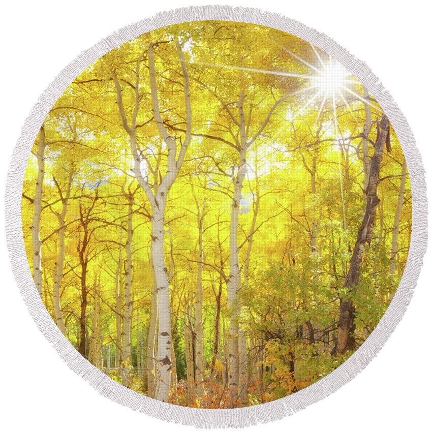 Aspens Round Beach Towel featuring the photograph Aspen Morning by Darren White