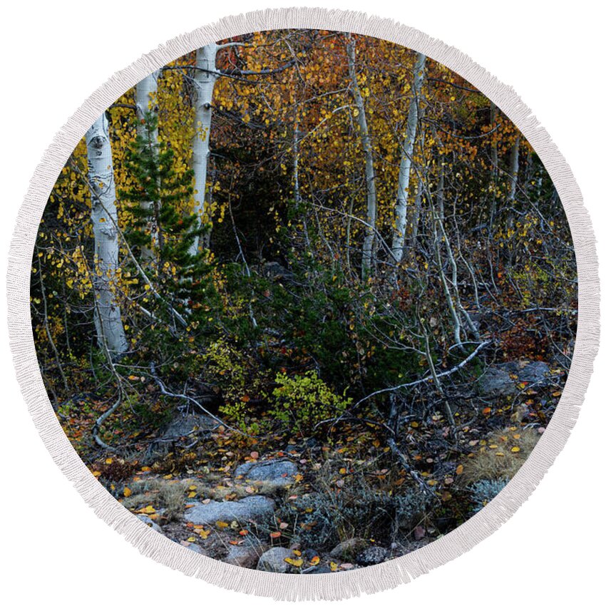 North America Round Beach Towel featuring the photograph Autumn Foliage in the Sierras by Mark Miller