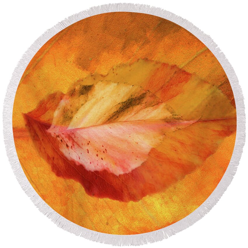 Photography Round Beach Towel featuring the digital art Autumn Leaves Design by Terry Davis
