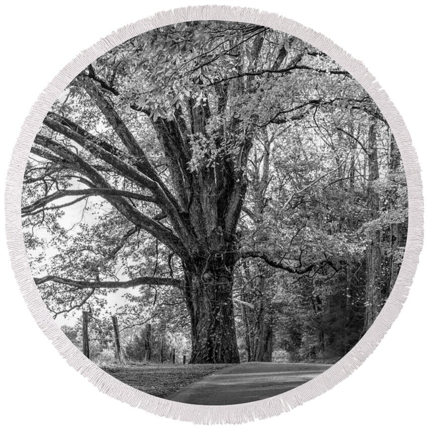 Cades Round Beach Towel featuring the photograph Autumn Loop Black and White by Debra and Dave Vanderlaan