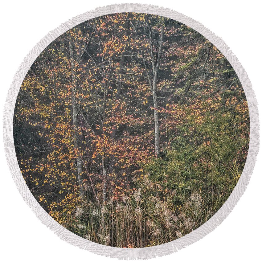 Maryland Round Beach Towel featuring the photograph Autumn Morning 4 by Robert Fawcett