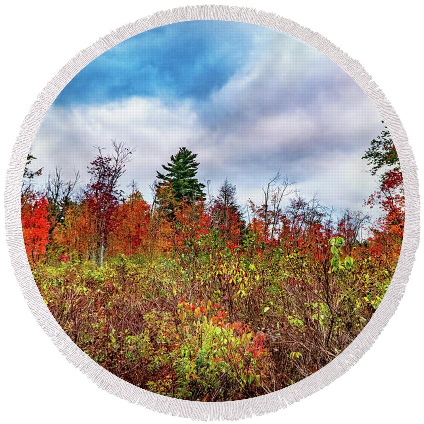 Foliage Round Beach Towel featuring the photograph Autumn nature colorful pallett by Lilia S