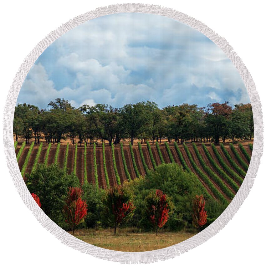 Vineyard Round Beach Towel featuring the photograph Autumn Vines by Dan McGeorge