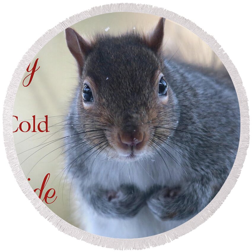Squirrels Round Beach Towel featuring the photograph Baby It's Cold Outside by Trina Ansel