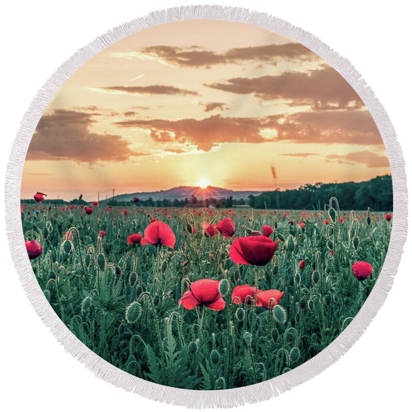Beauty In Nature Round Beach Towel featuring the photograph Backlit flowery field of red poppies at sunrise by Benoit Bruchez