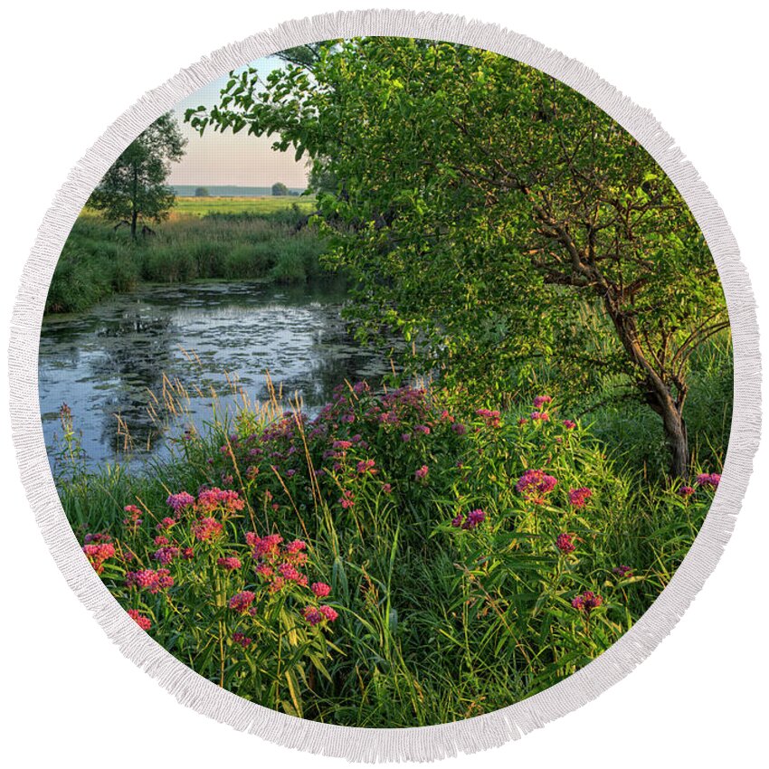 Water Round Beach Towel featuring the photograph Backwater - Swamp Milkweed by Bruce Morrison