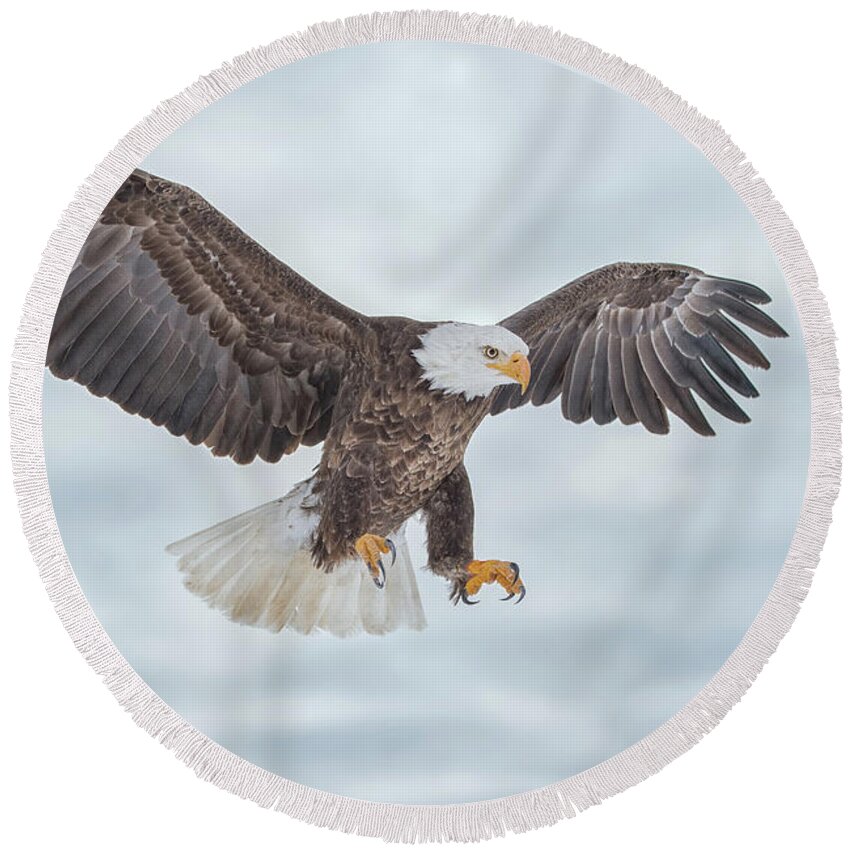 Eagle Round Beach Towel featuring the photograph Bald Eagle Blue Sky by CR Courson