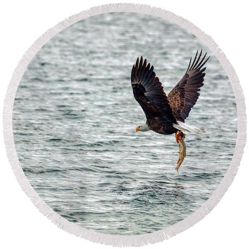 Wild Wings Art Bald Eagle GONE FISHING Lightweight Beach Towel 