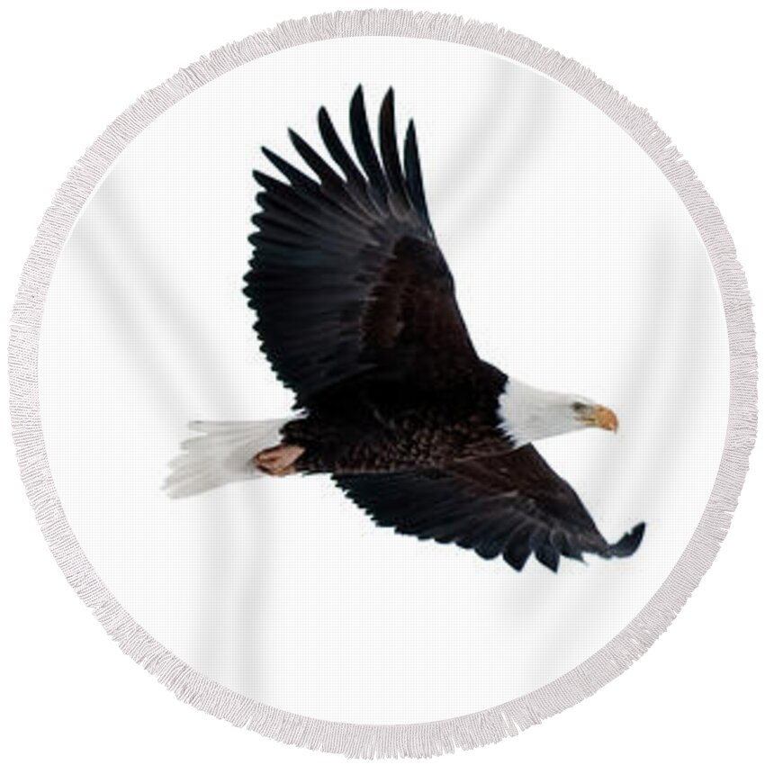 Bald Round Beach Towel featuring the photograph Bald Eagle Composite by Gary Langley