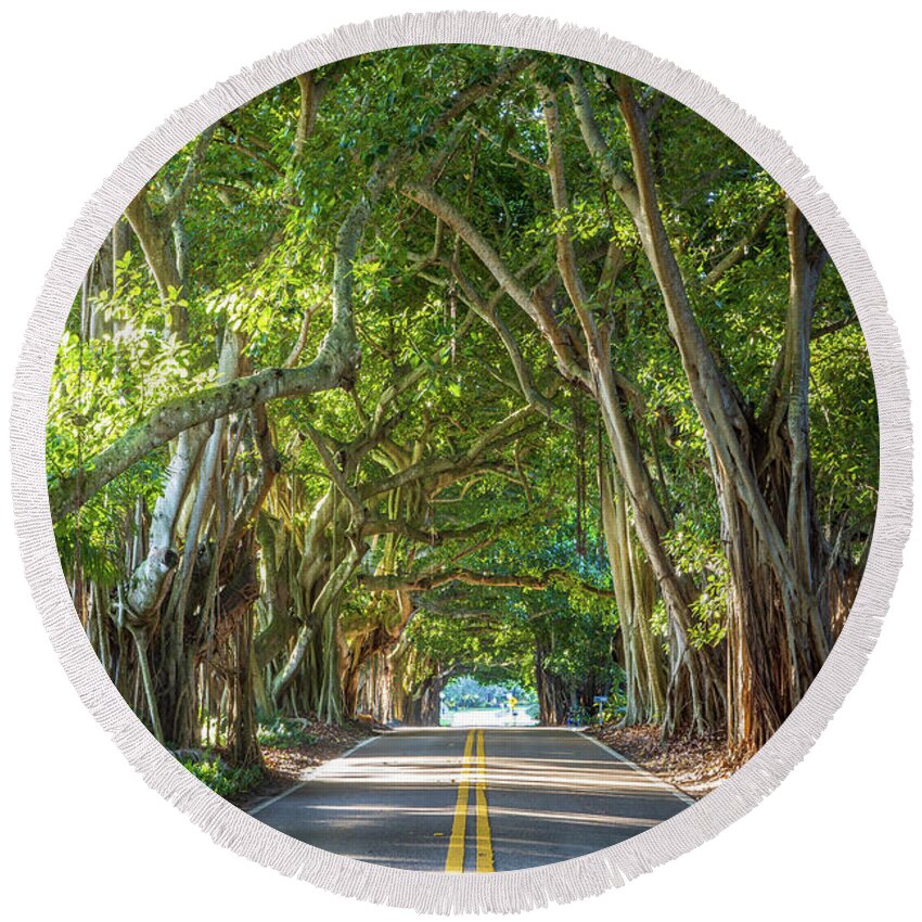 Banyan Tree Round Beach Towel featuring the photograph Banyan Tree Tunnel by Stefan Mazzola