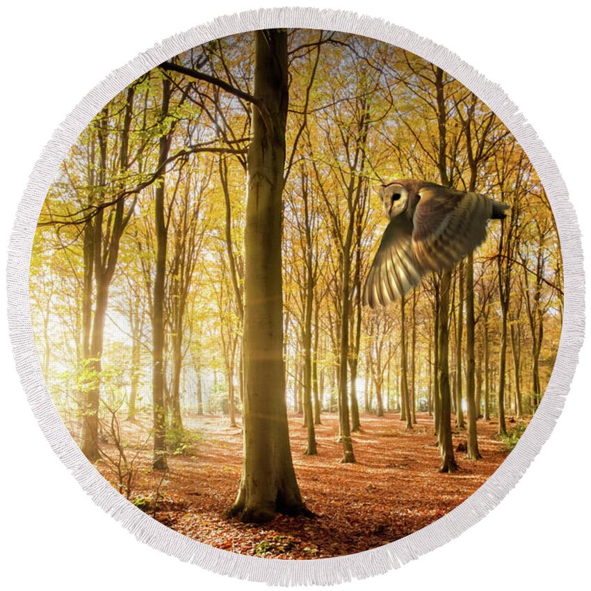 Autumn Round Beach Towel featuring the photograph Barn owl flying in autumn woodland by Simon Bratt