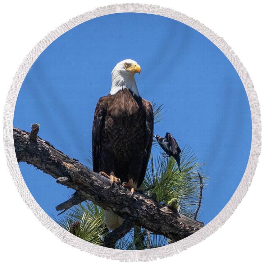 Eagle Round Beach Towel featuring the photograph Be the Eagle by Randy Robbins