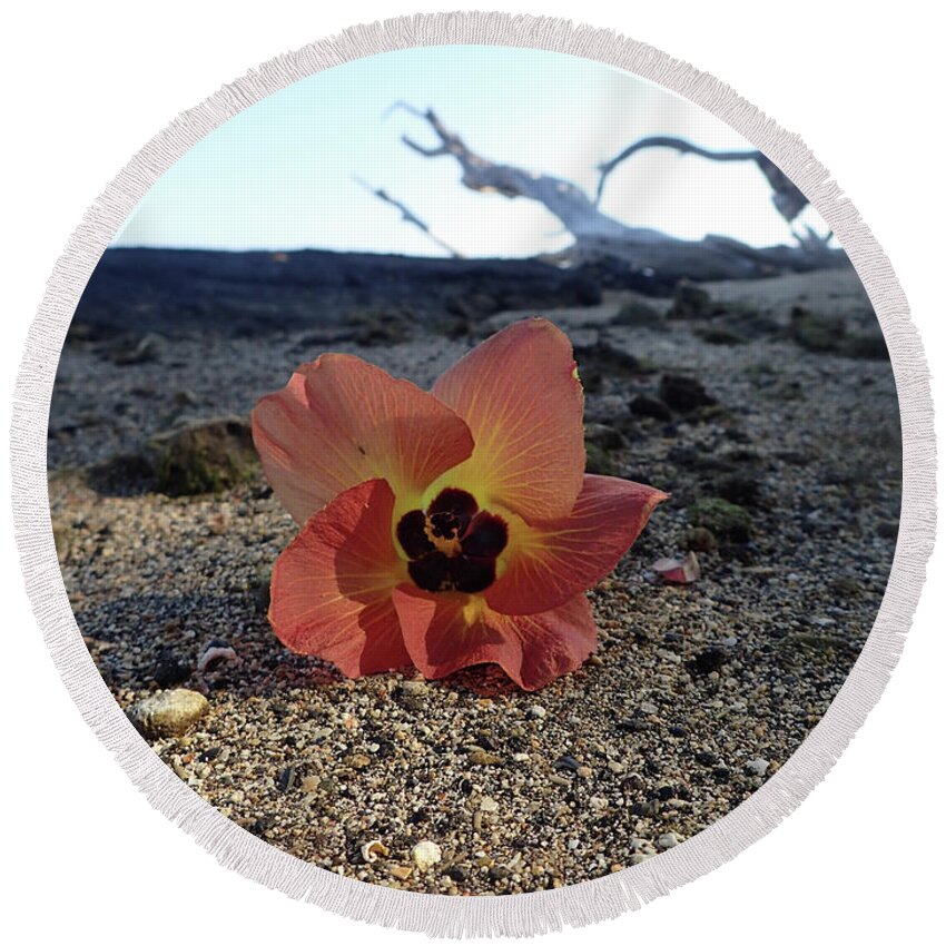 Beach Round Beach Towel featuring the photograph Beach Flower by Adrienne Franklin