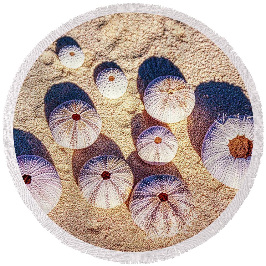 Beach Shells Round Beach Towel featuring the photograph Beach shells, Cozumel, Mexico by Tatiana Travelways
