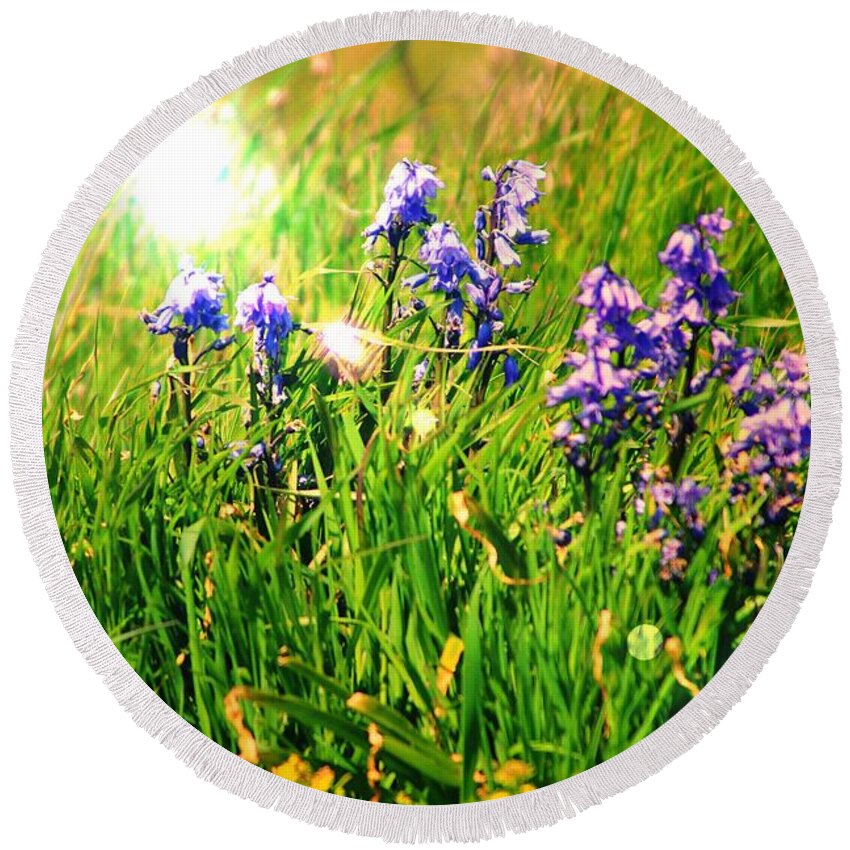 Bluebells Round Beach Towel featuring the photograph Beams On Bluebells by Kimberly Furey