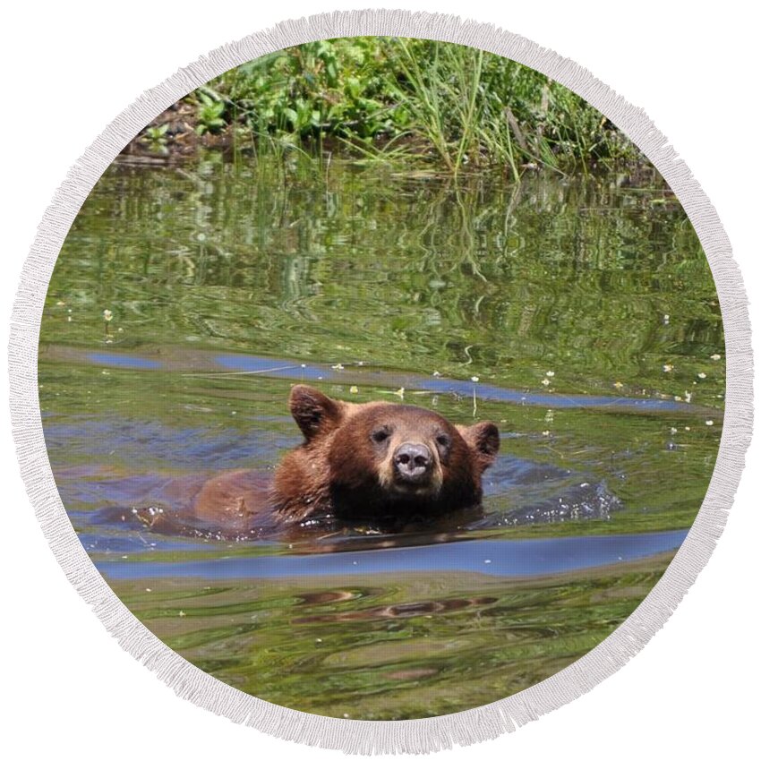 Nature Round Beach Towel featuring the photograph Bear in the Water by Mike Helland