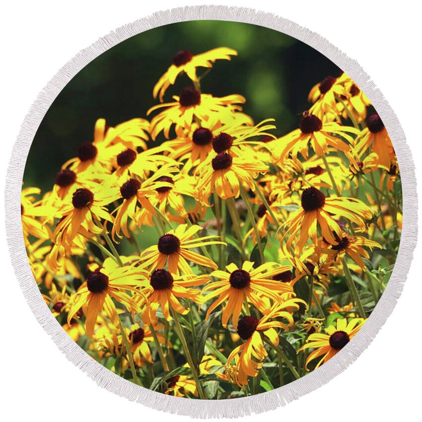 Flowers Round Beach Towel featuring the photograph Beautiful Black-Eyed Susan Flowers by Trina Ansel