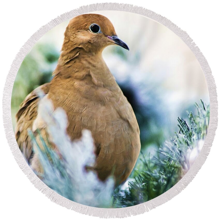 Bird Round Beach Towel featuring the painting Beautiful Dove by Christina Rollo