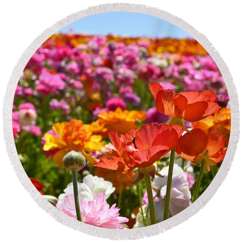 Flowers Round Beach Towel featuring the photograph Beautiful Spring Flowers by Rich Cruse