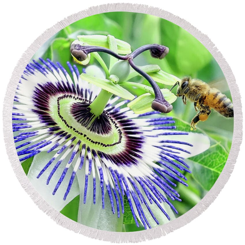 Bee Photo Prints Round Beach Towel featuring the digital art Bee 87 by Kevin Chippindall