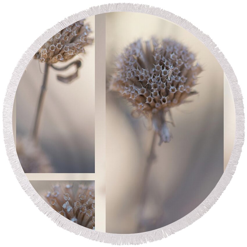 Taupe Round Beach Towel featuring the photograph Bee Balm by Karen Rispin