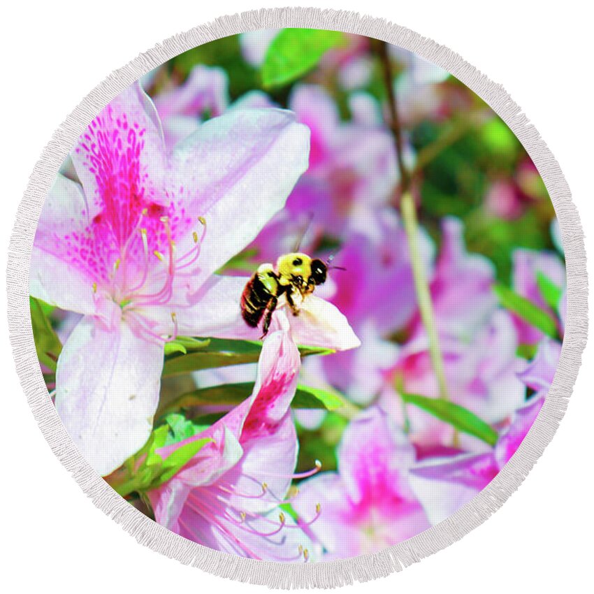 Azaleas Round Beach Towel featuring the photograph Bee Happy by Ed Williams