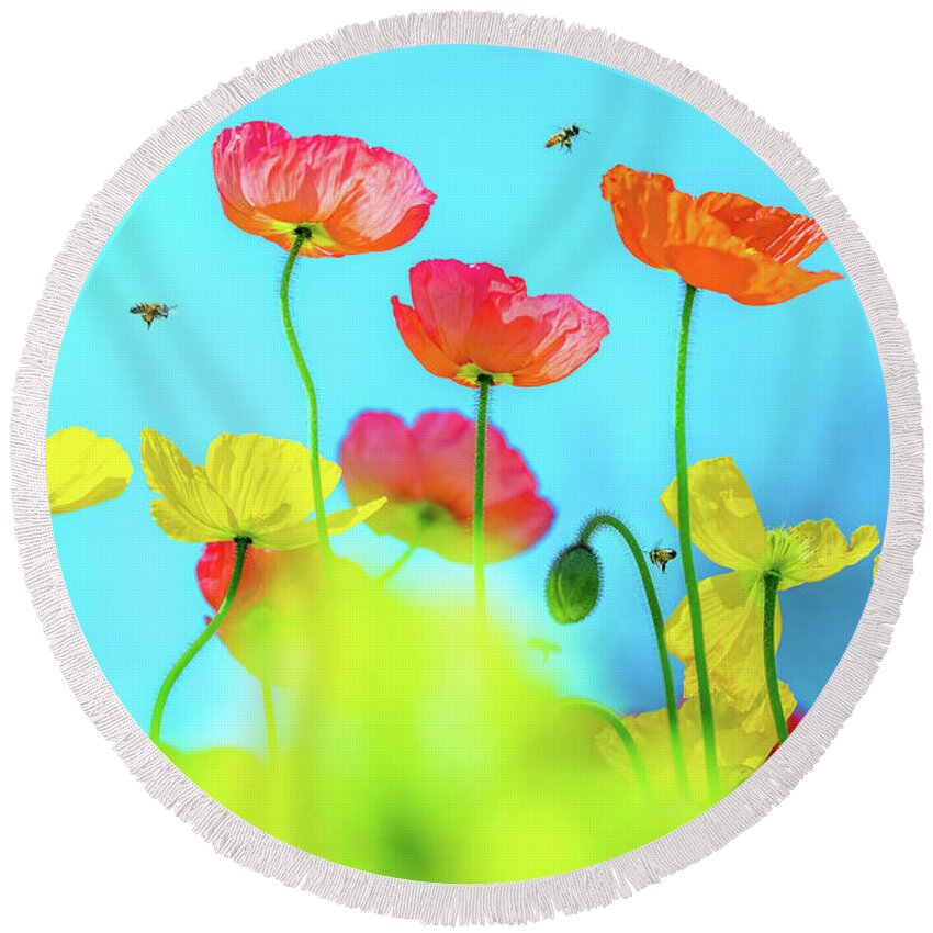 Colorful Poppy Flower Round Beach Towel featuring the photograph Bee Haven by Az Jackson