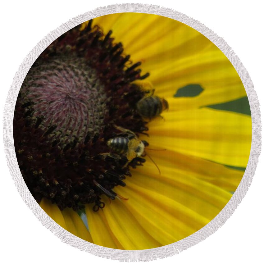 Bee Round Beach Towel featuring the photograph Bee on Sunflower by World Reflections By Sharon