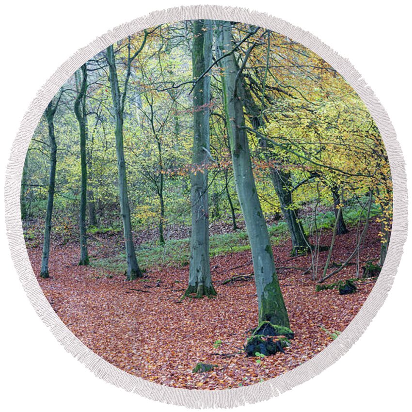 Autumn Round Beach Towel featuring the photograph Beech Woodland, Cotswolds, England, UK by Sarah Howard