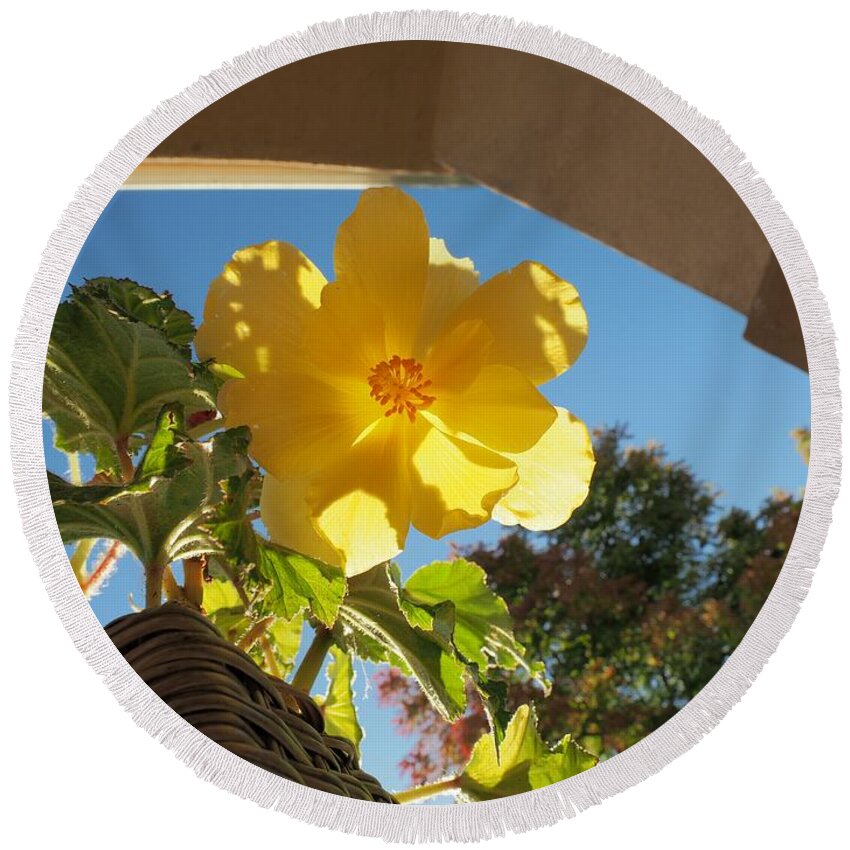 Botanical Round Beach Towel featuring the photograph Begonia on Porch by Richard Thomas
