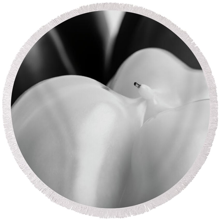 Agriculture Round Beach Towel featuring the photograph Bell Peppers Black and White by Todd Bannor