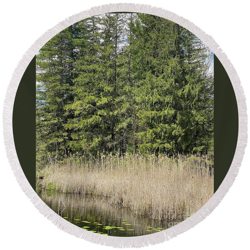 Berkshires Round Beach Towel featuring the photograph Berkshires Pond Grass by Shany Porras Art