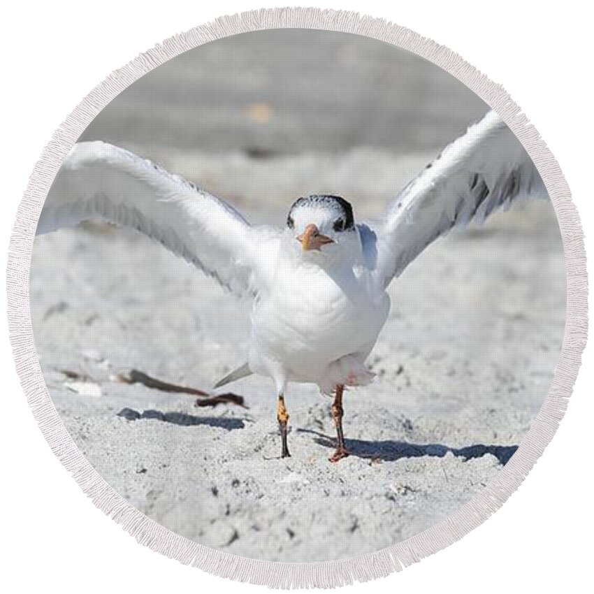  Round Beach Towel featuring the photograph Big Wingspan by Mingming Jiang