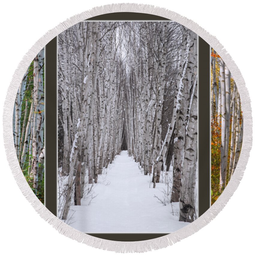 Birch Round Beach Towel featuring the photograph Birch Path Three Season Collage by White Mountain Images
