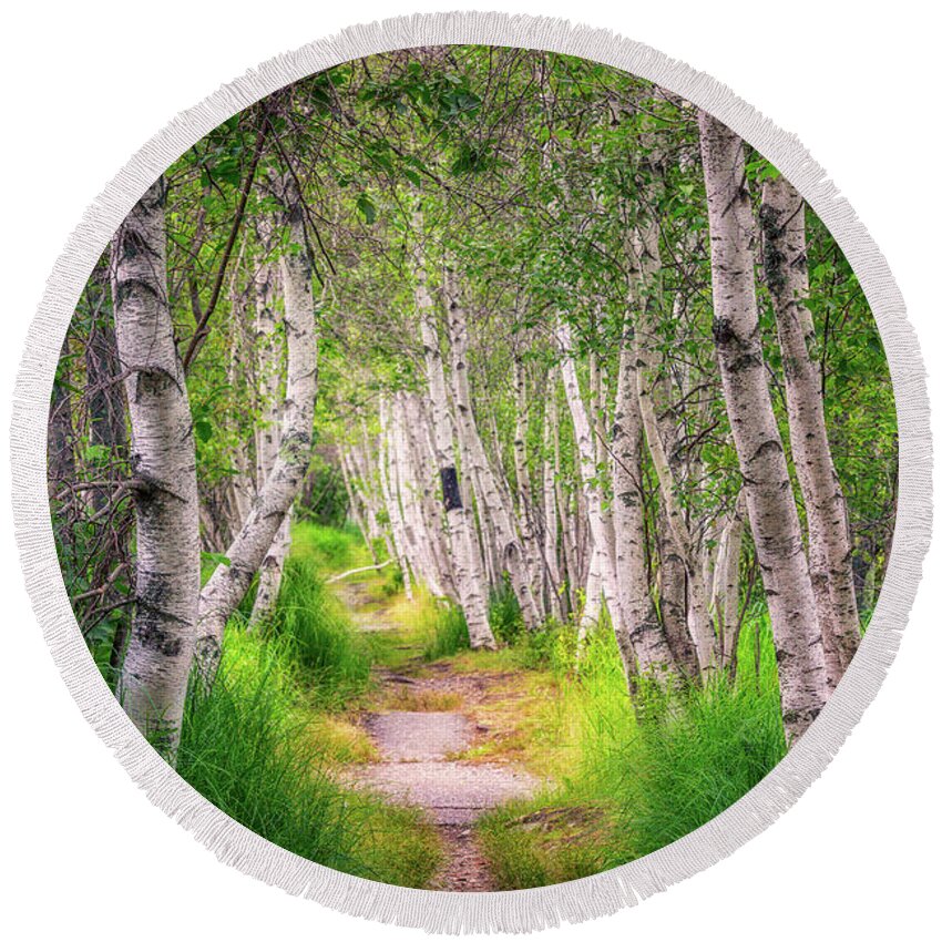 Acadia Round Beach Towel featuring the photograph Birch Way by Jeff Sinon