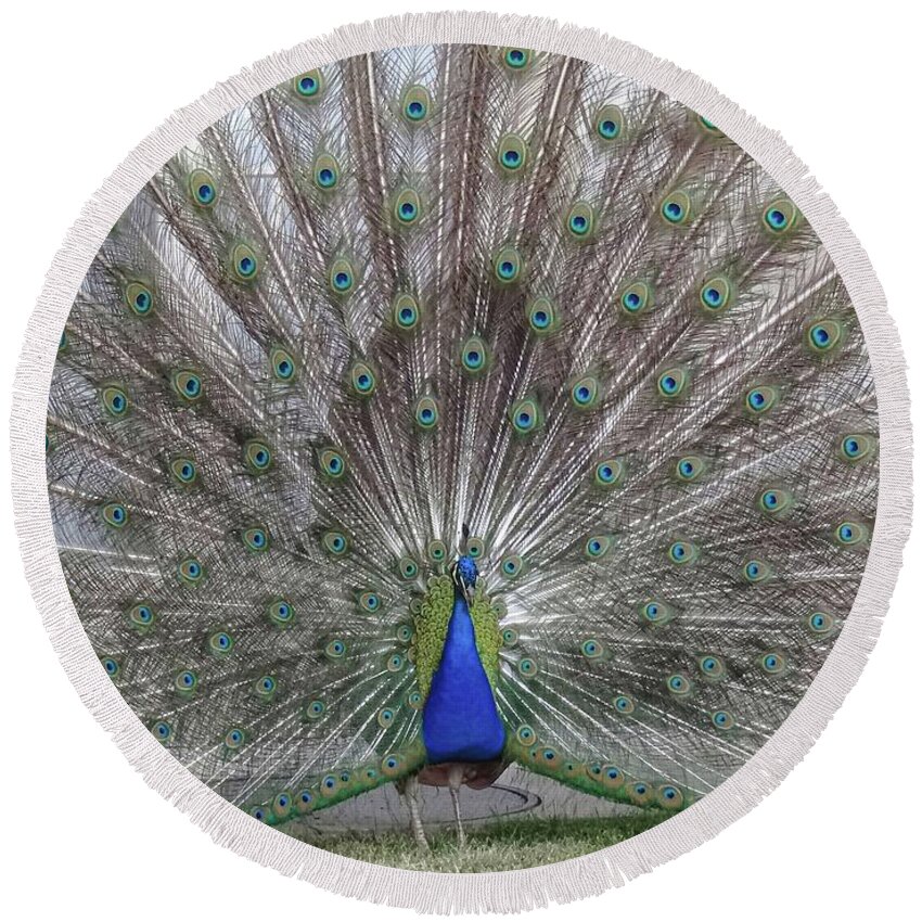 Bird Round Beach Towel featuring the photograph Bird Of Paradise by Andre Petrov