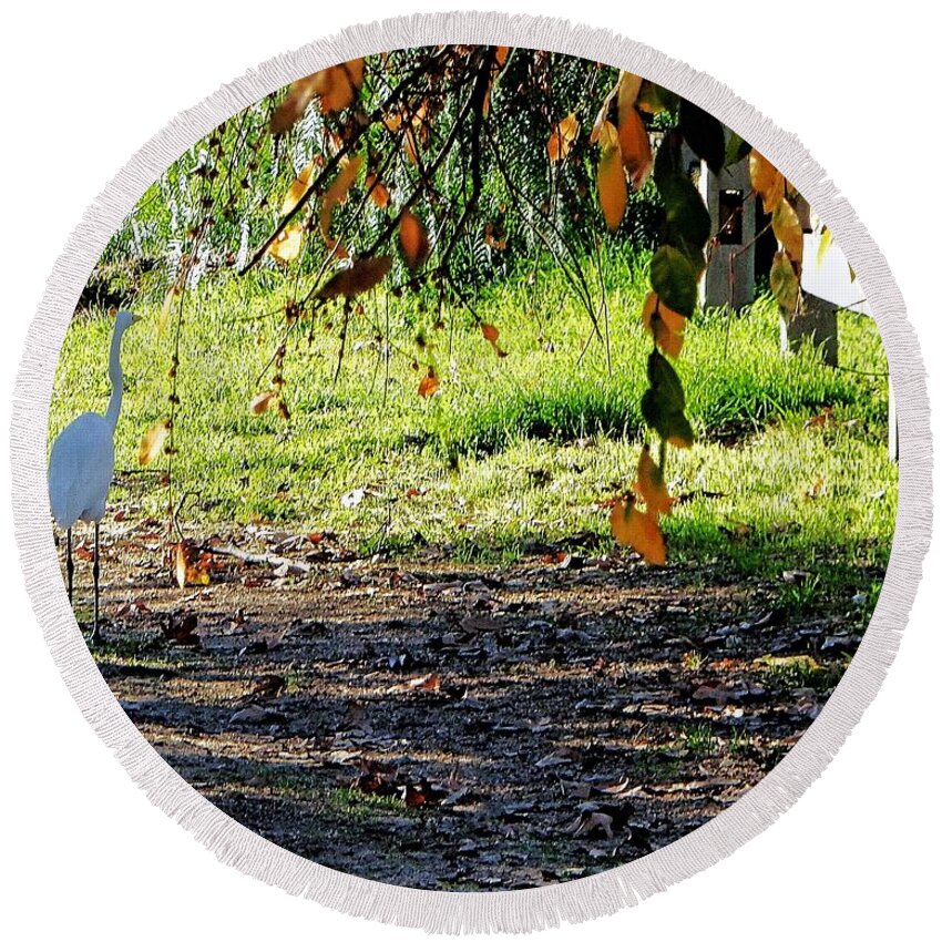 Bird Round Beach Towel featuring the photograph Bird Path by Andrew Lawrence
