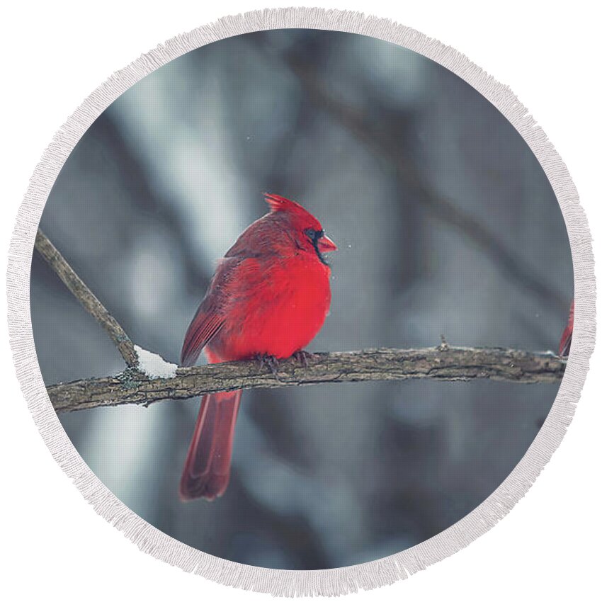 Cardinal Round Beach Towel featuring the photograph Birds Of A Feather by Carrie Ann Grippo-Pike