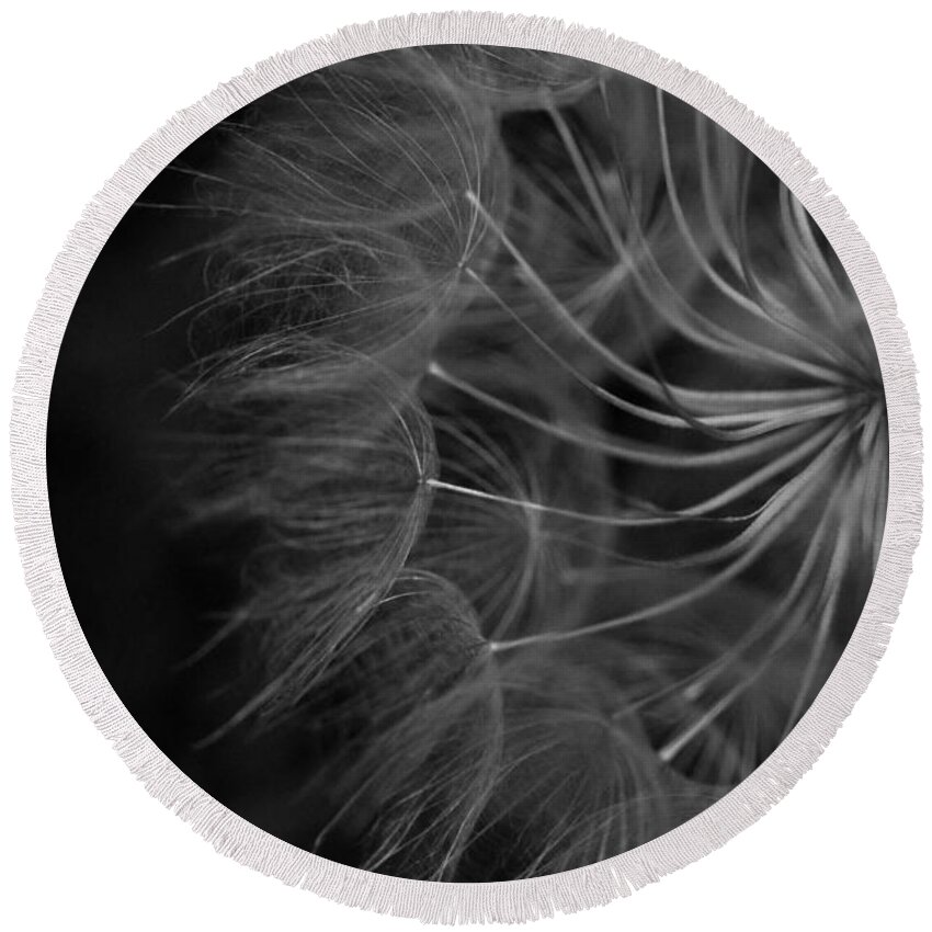 Nature Round Beach Towel featuring the photograph Black and White Dandelion 1 by Amy Fose